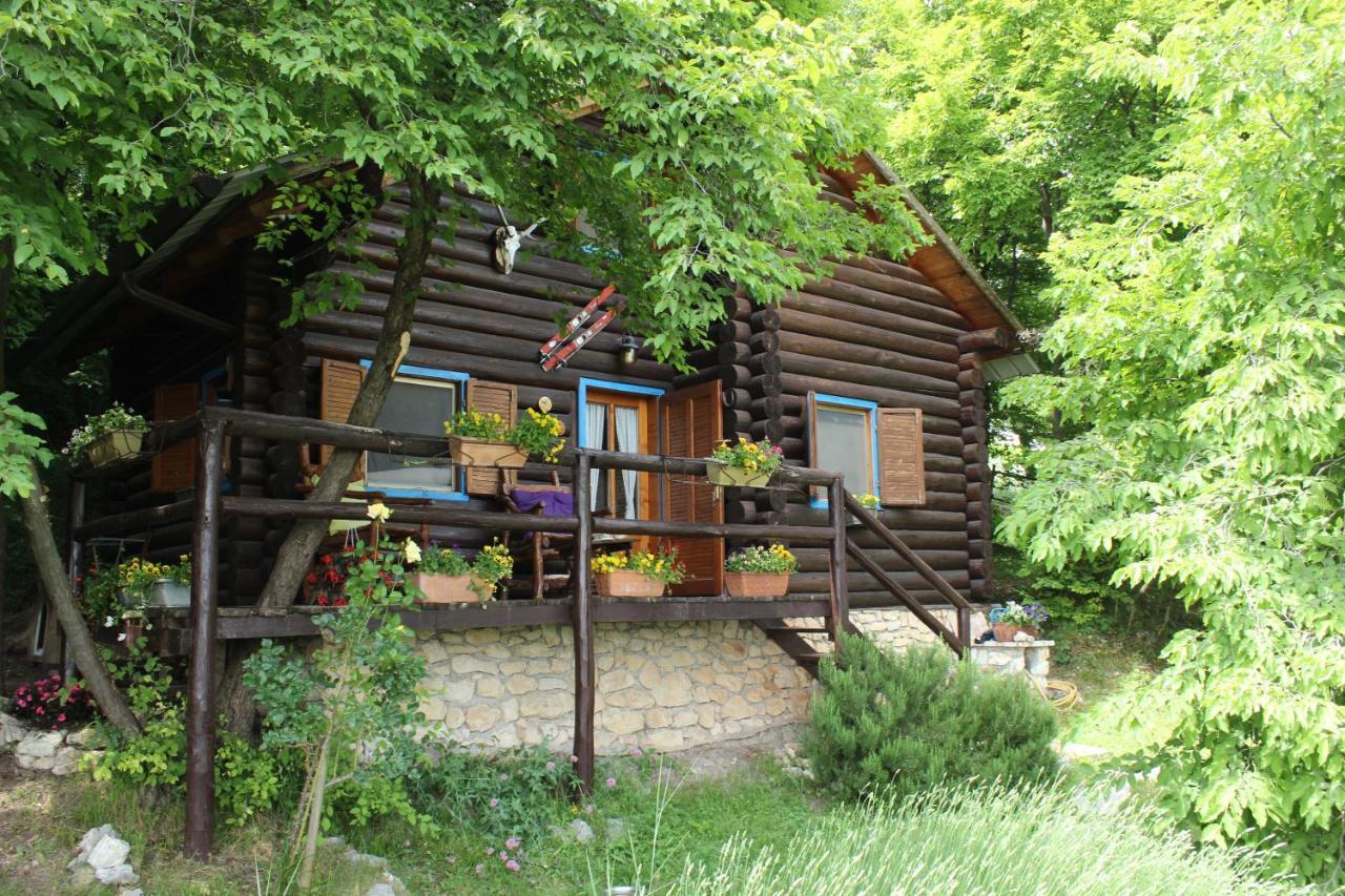 B&B Le Corone - Chalet Nel Bosco Cavalo Exterior foto